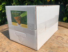 Load image into Gallery viewer, 10 Litre - Premium Cider (Bag In Box)
